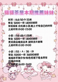 貓貓茶屋本期推薦妹妹
